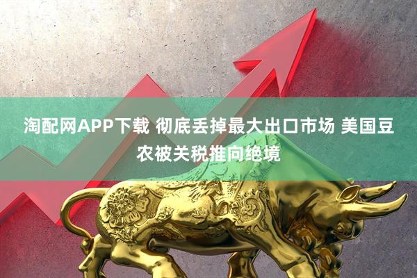 淘配网APP下载 彻底丢掉最大出口市场 美国豆农被关税推向绝境