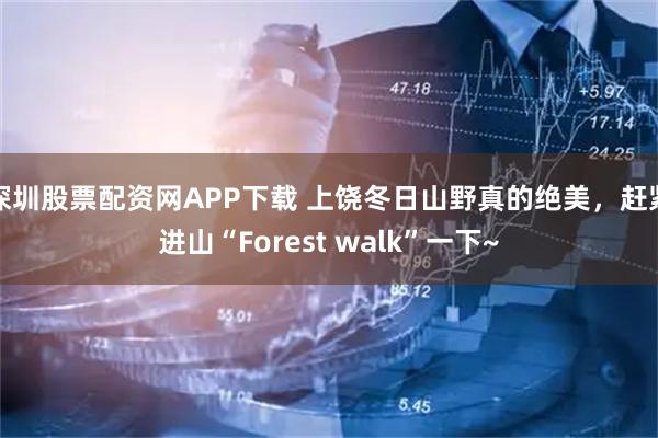 深圳股票配资网APP下载 上饶冬日山野真的绝美，赶紧进山“Forest walk”一下~