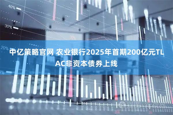 中亿策略官网 农业银行2025年首期200亿元TLAC非资本债券上线
